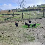 Quinta Da Lage E Enoturismo *