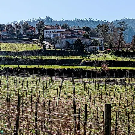 Quinta Da Lage E Enoturismo Дом отдыха