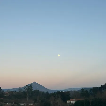 Quinta Da Lage E Enoturismo *