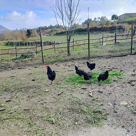 Quinta Da Lage E Enoturismo *