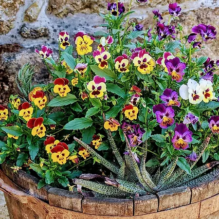 Quinta Da Lage E Enoturismo 度假居 *