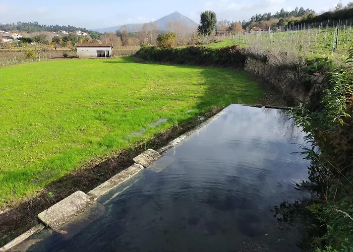 Quinta Da Lage E Enoturismo