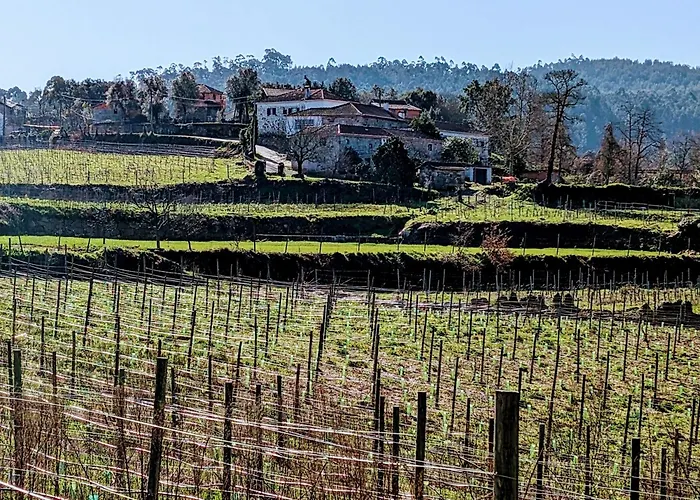 Quinta Da Lage E Enoturismo بيت للعطل