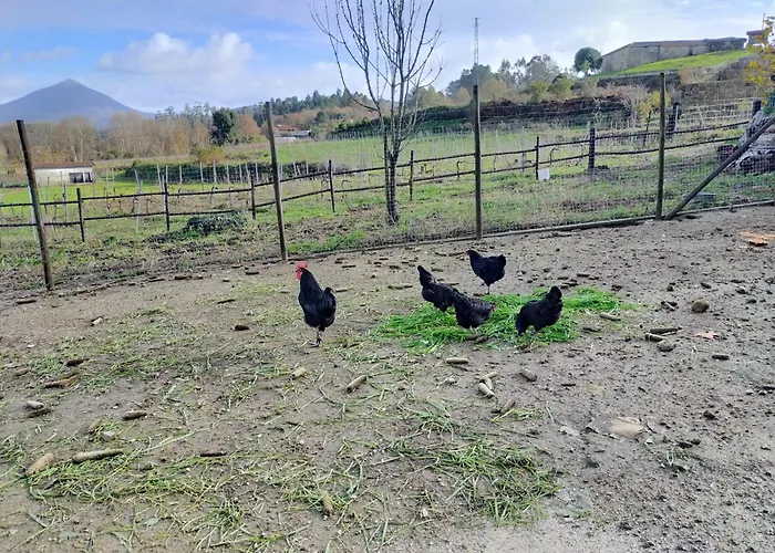 Quinta Da Lage E Enoturismo *