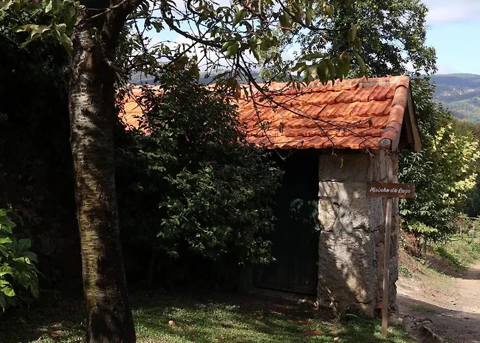 بيت للعطل Quinta Da Lage E Enoturismo سيلوريكو دي باستو